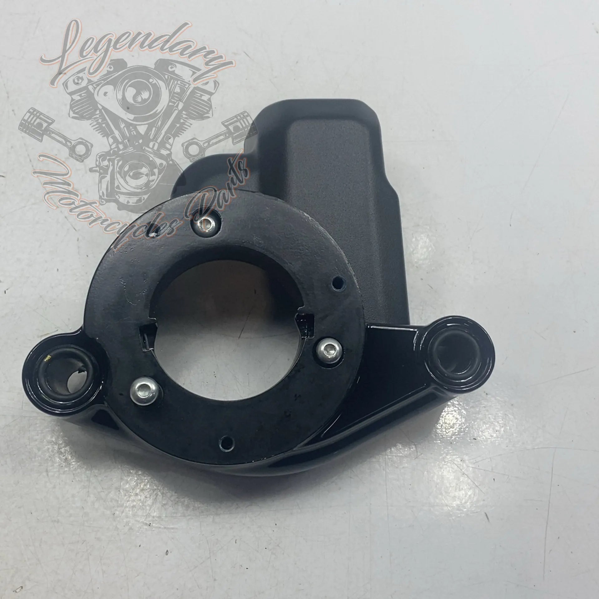 １５エンジンコラーリチューン Cache corps d'injection OEM 61300616 – Legendary Parts