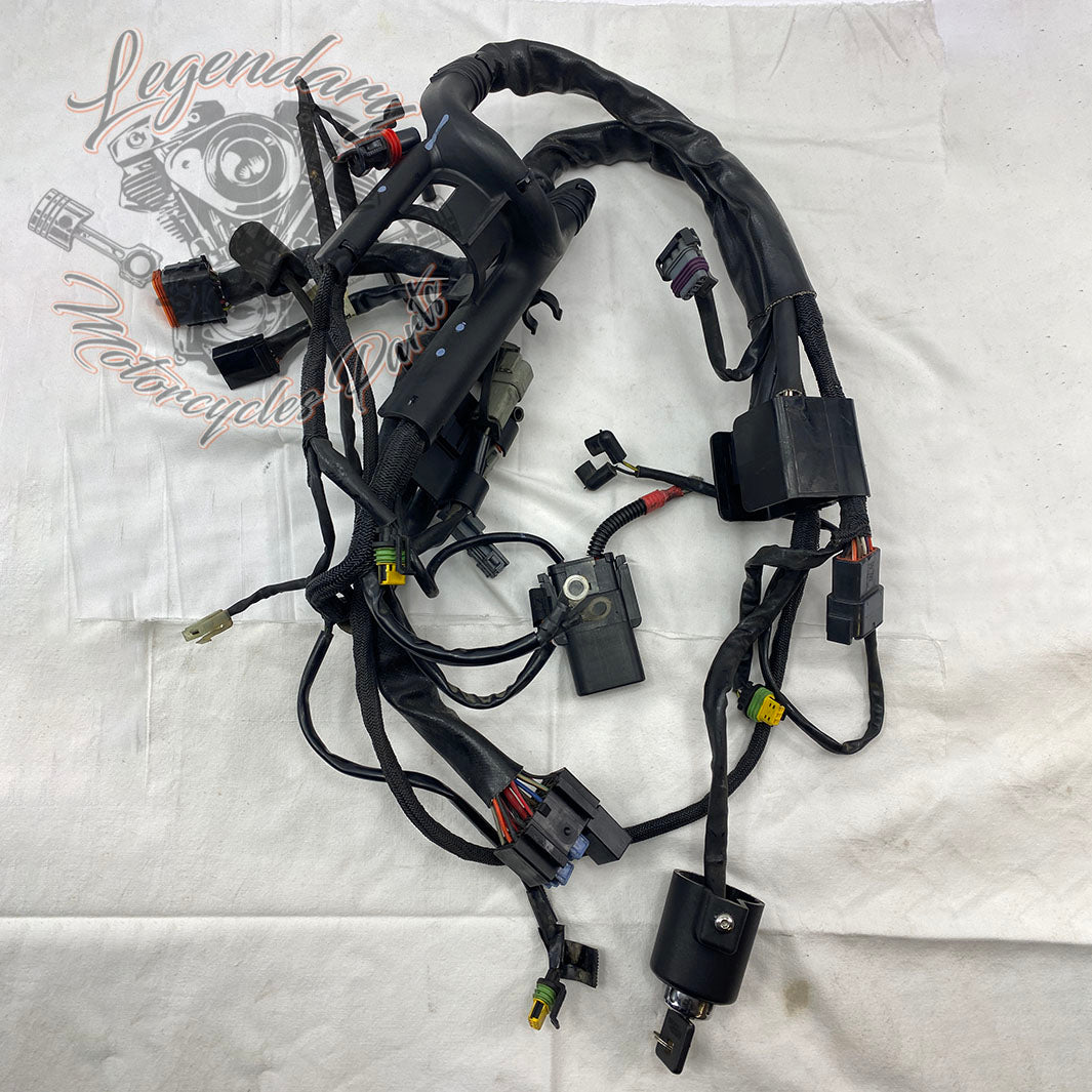 Cablaggio Originale Kohler OEM #24 176 13-S Per Motore - Nuovo - Foto 3