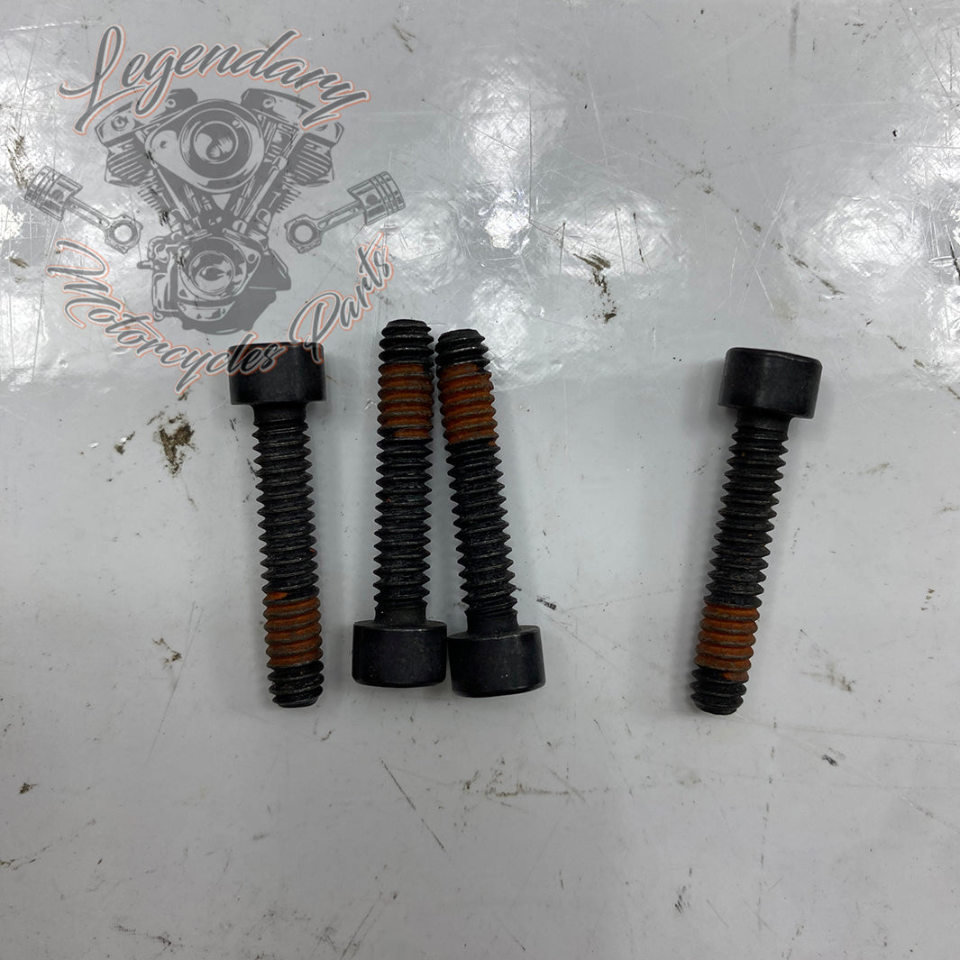 もたい OEM Stator Screw 2720 – Legendary Parts