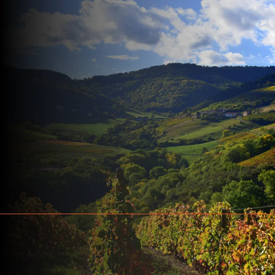 Harley Davidson Tour: Entdeckungstour durch das Beaujolais & die Monts du Lyonnais