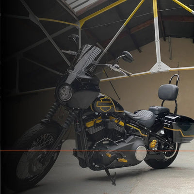 Harley-Davidson Customization: Baue dein Traummotorrad