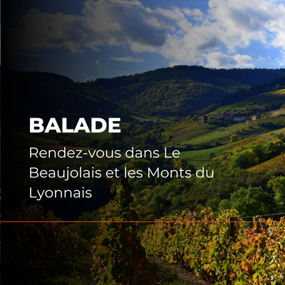 Motorcycle ride in Beaujolais and the Monts du Lyonnais