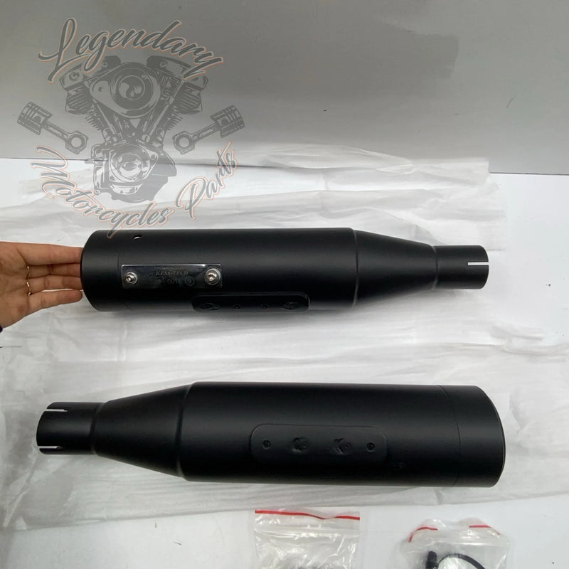 Paar Schalldämpfer OEM 101-2122-266 