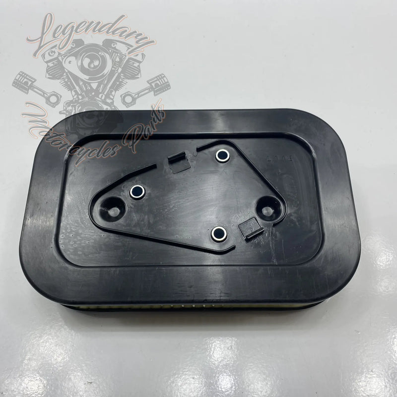 Elemento filtrante OEM 1011-2959