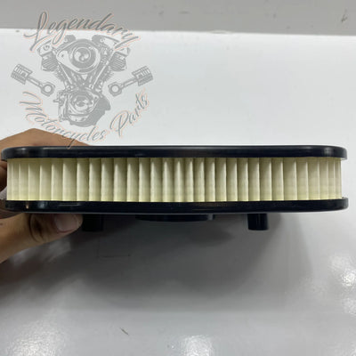 Elemento filtrante OEM 1011-2959