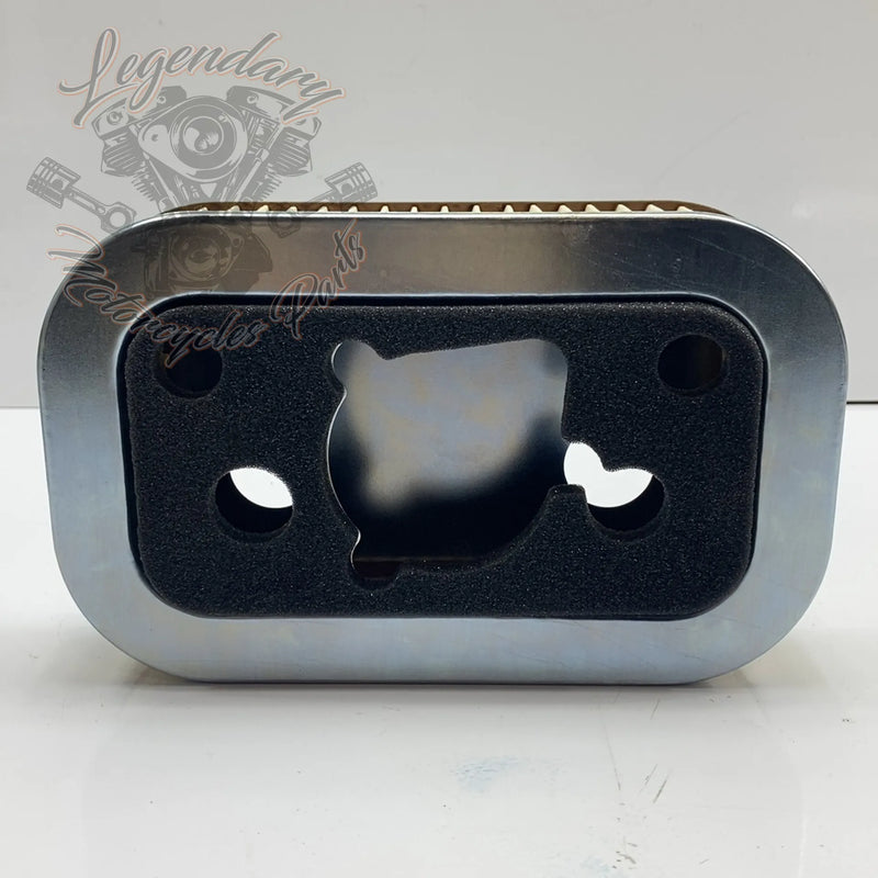 Filtre à air OEM 1011-2961