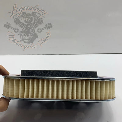 Filtre à air OEM 1011-2961