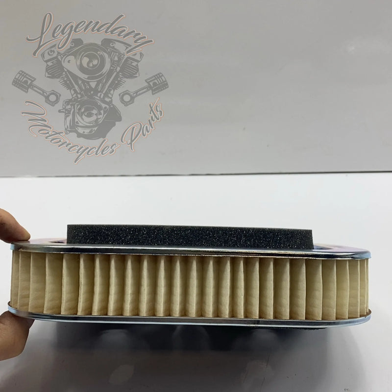 Filtre à air OEM 1011-2961