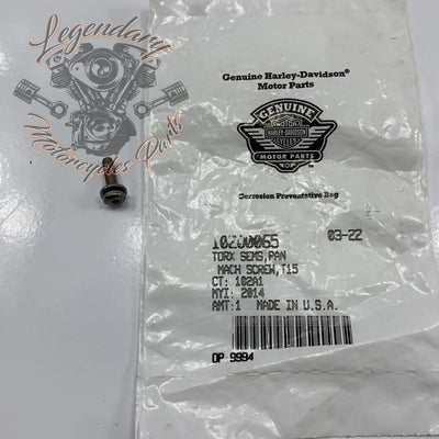 Vijak torx 8-32 X 5/8 OEM 10200065