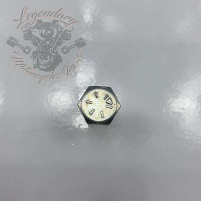 Screw 1/8 X 18 X 1.00 OEM 10200120