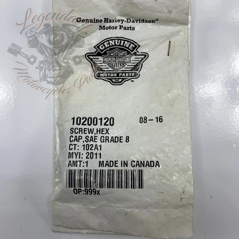 Screw 1/8 X 18 X 1.00 OEM 10200120