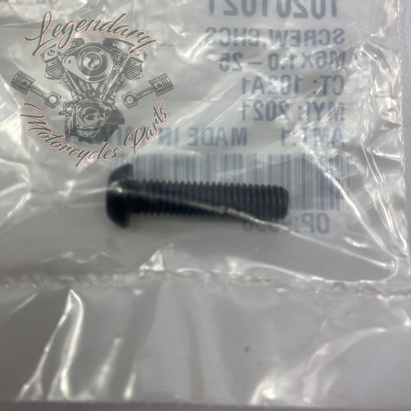 Regulator Bracket Screw M6x1.0-25 OEM 10201021