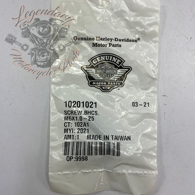 Regulator Bracket Screw M6x1.0-25 OEM 10201021