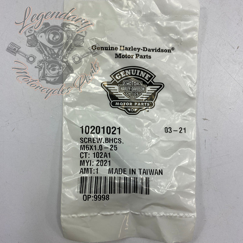 Regulator Bracket Screw M6x1.0-25 OEM 10201021