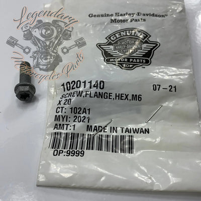 Vite M6 X 20 OEM 10201140