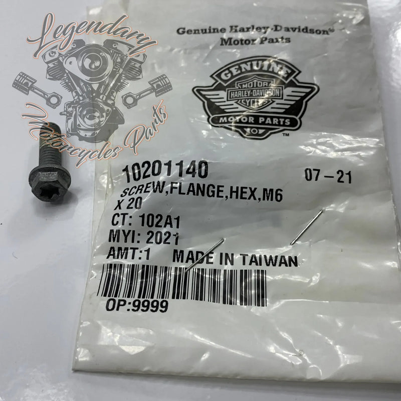Vite M6 X 20 OEM 10201140