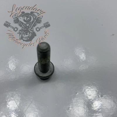 Vite M6 X 20 OEM 10201140