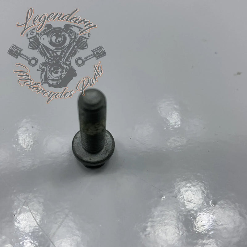 Vite M6 X 20 OEM 10201140