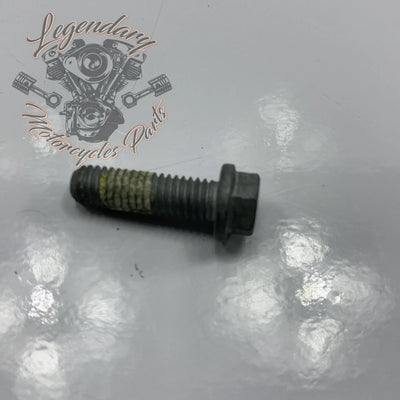 Vite M6 X 20 OEM 10201140