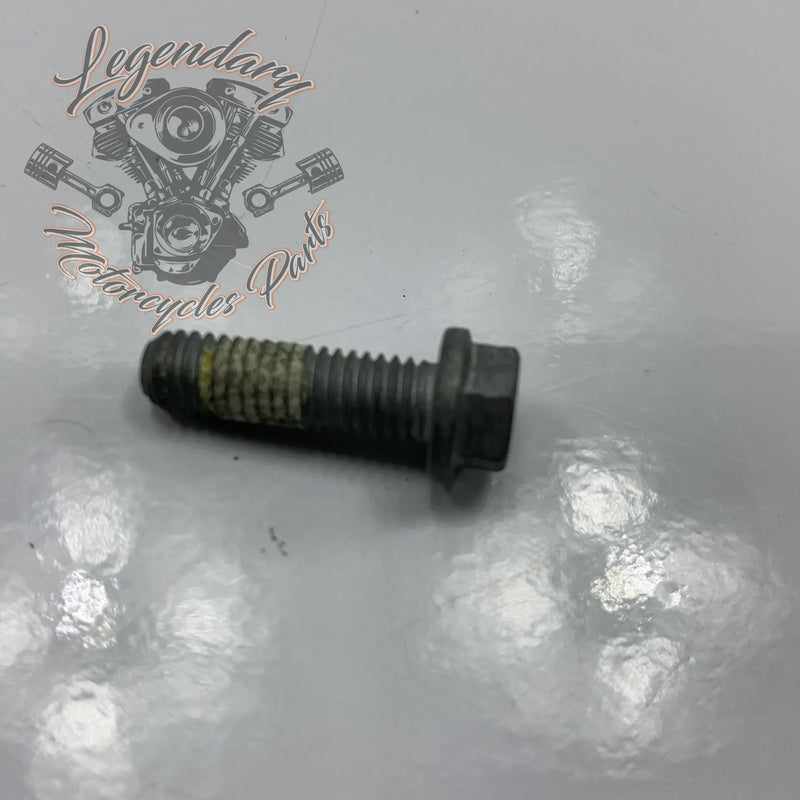 Vite M6 X 20 OEM 10201140