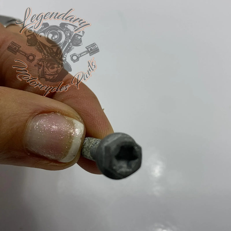 Vite M6 X 20 OEM 10201140