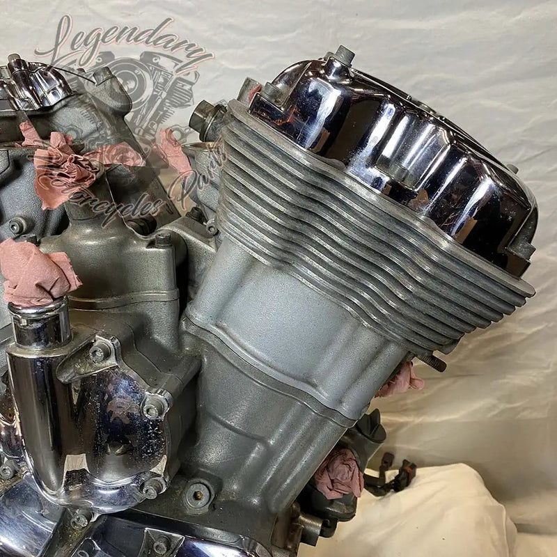 Moteur 1130 (69 ci) OEM 16150-04K