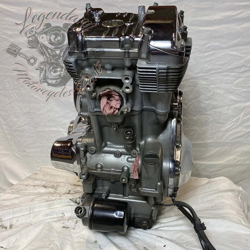 Moteur 1130 (69 ci) OEM 16150-04K