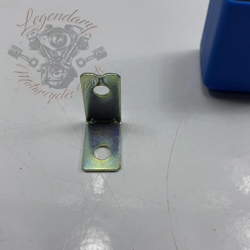 LED Flasher Unit OEM 1620003