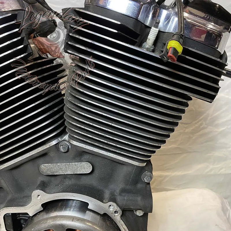 Touring Engine 1745 (107 ci) OEM 16200371