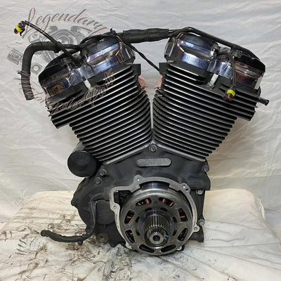 Touring Engine 1745 (107 ci) OEM 16200371