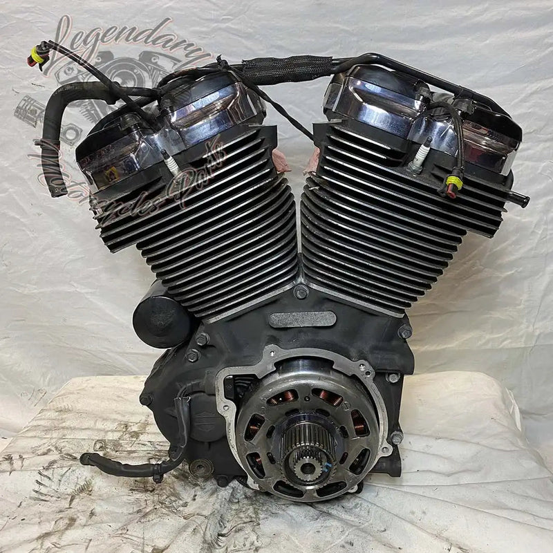 Touring Engine 1745 (107 ci) OEM 16200371