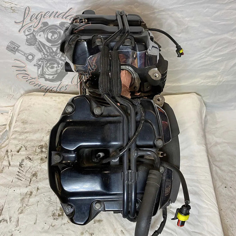 Touring Engine 1745 (107 ci) OEM 16200371