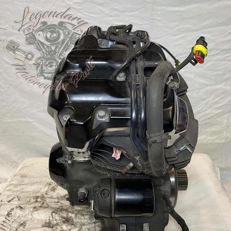 Touring Engine 1745 (107 ci) OEM 16200371
