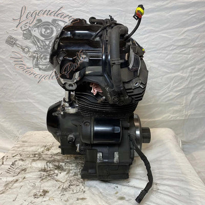 Touring Engine 1745 (107 ci) OEM 16200371