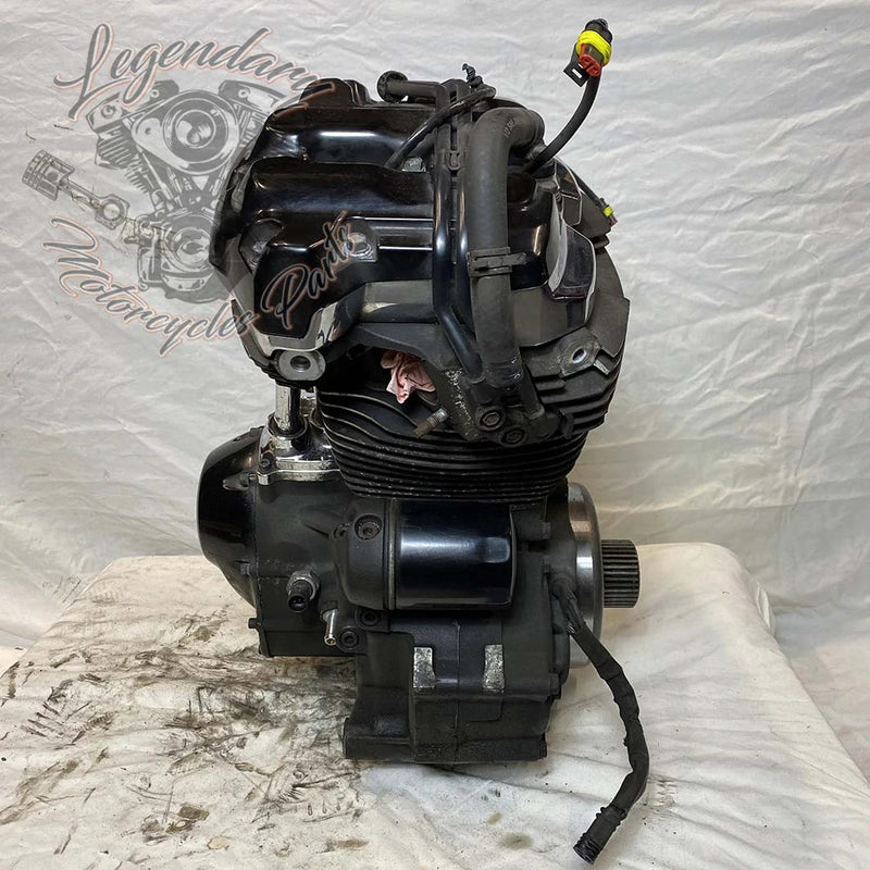 Touring Engine 1745 (107 ci) OEM 16200371