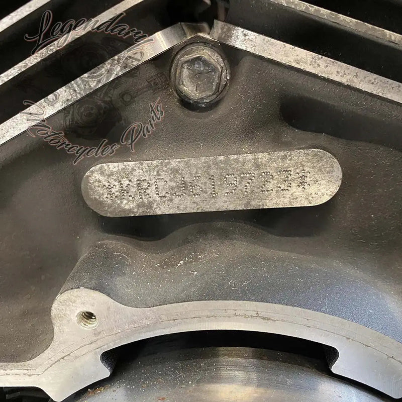 Touring Engine 1745 (107 ci) OEM 16200371