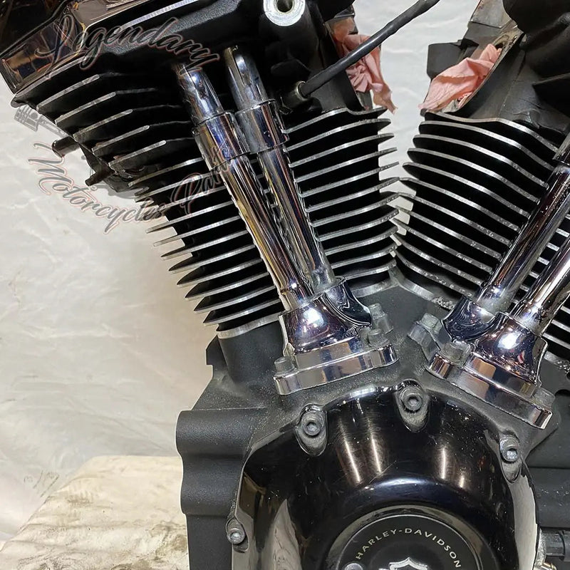 Touring Engine 1745 (107 ci) OEM 16200371