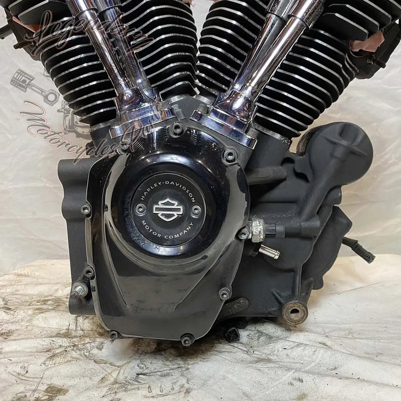 Touring Engine 1745 (107 ci) OEM 16200371