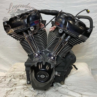 Touring Engine 1745 (107 ci) OEM 16200371