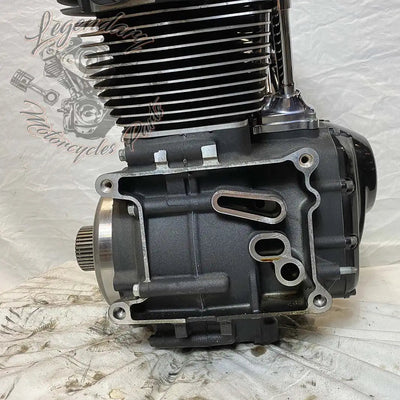 Touring Engine 1745 (107 ci) OEM 16200371