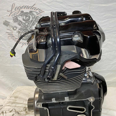 Touring Engine 1745 (107 ci) OEM 16200371