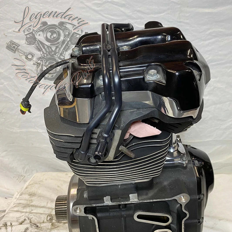 Touring Engine 1745 (107 ci) OEM 16200371