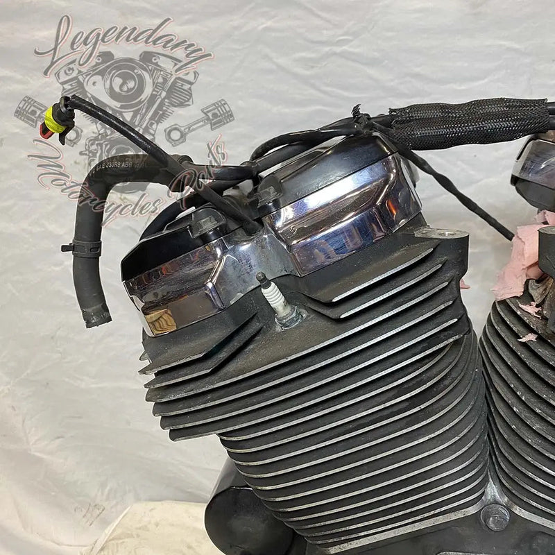 Touring Engine 1745 (107 ci) OEM 16200371