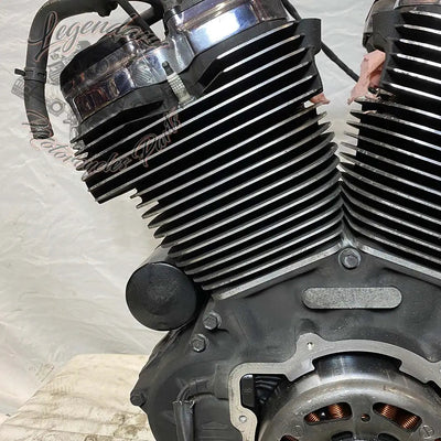 Touring Engine 1745 (107 ci) OEM 16200371