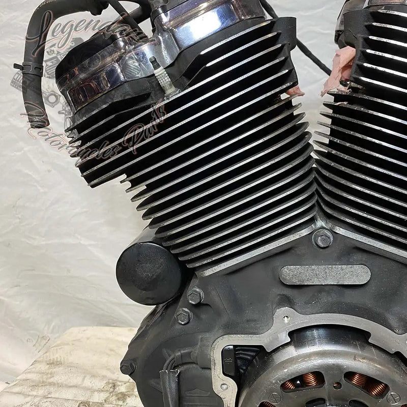 Touring Engine 1745 (107 ci) OEM 16200371