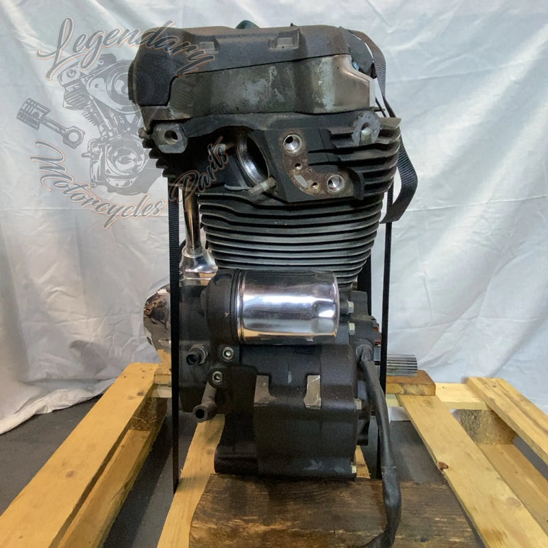 Motore Softail 1745 (107ci) OEM 16200385