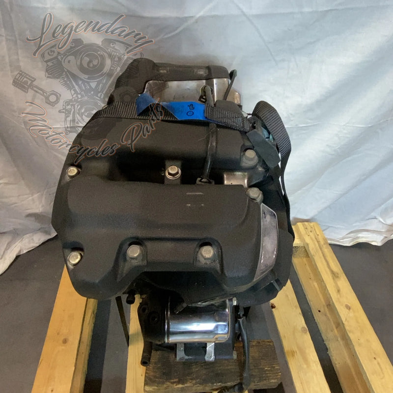 Motore Softail 1745 (107ci) OEM 16200385