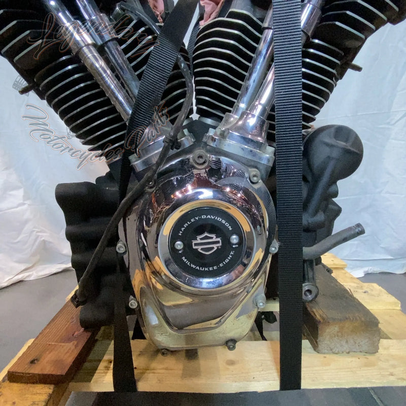 Motore Softail 1745 (107ci) OEM 16200385