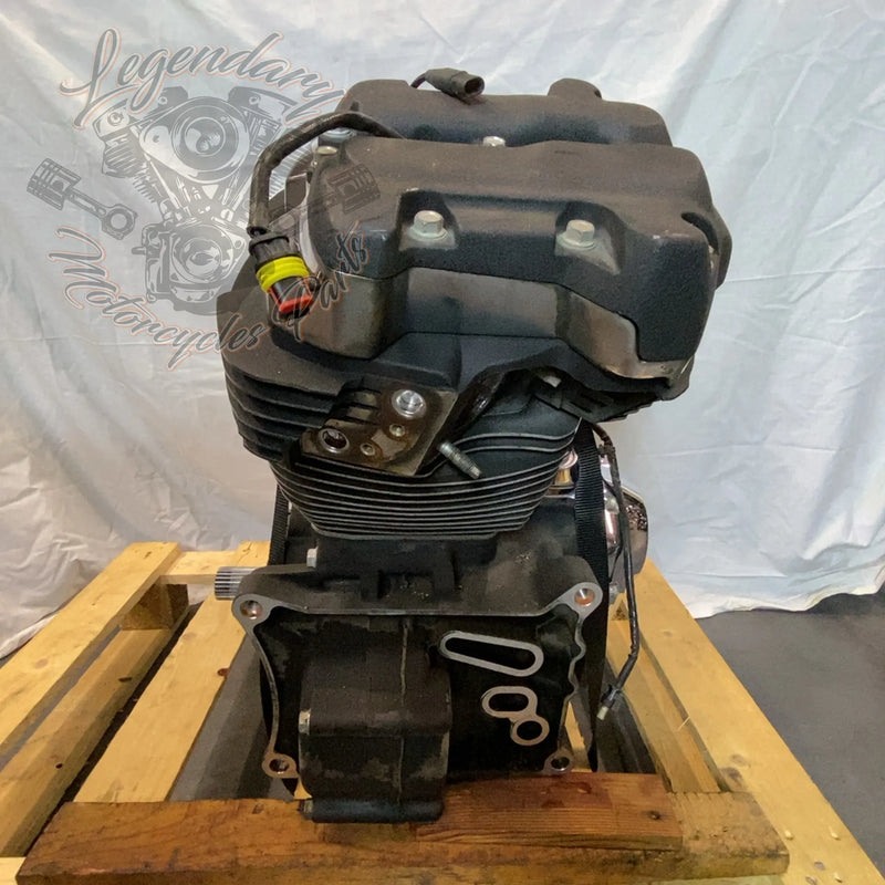 Motore Softail 1745 (107ci) OEM 16200385