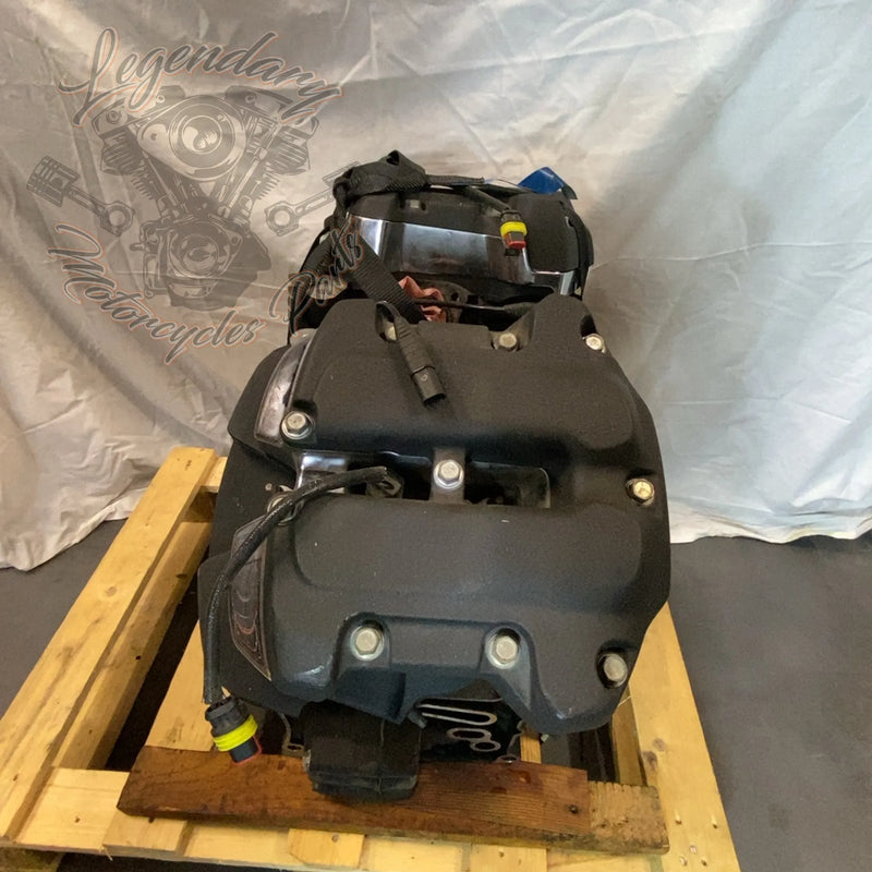Motore Softail 1745 (107ci) OEM 16200385